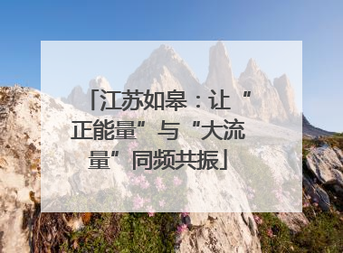 江苏如皋：让“正能量”与“大流量”同频共振