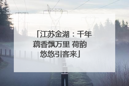 江苏金湖：千年藕香飘万里 荷韵悠悠引客来