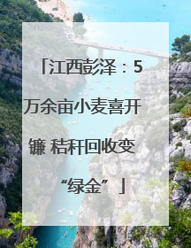 江西彭泽：5万余亩小麦喜开镰 秸秆回收变“绿金”