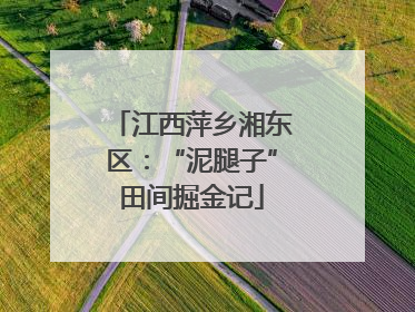 江西萍乡湘东区：“泥腿子”田间掘金记