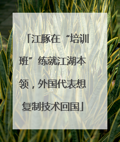 江豚在“培训班”练就江湖本领，外国代表想复制技术回国