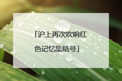 沪上再次吹响红色记忆集结号