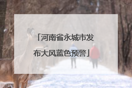 河南省永城市发布大风蓝色预警