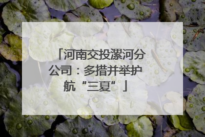 河南交投漯河分公司：多措并举护航“三夏”