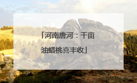 河南唐河：千亩油蟠桃喜丰收