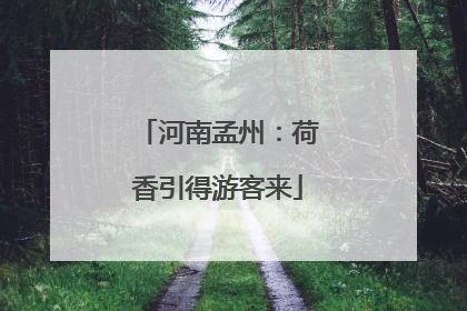 河南孟州：荷香引得游客来