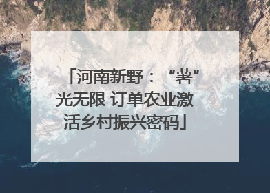 河南新野：“薯”光无限 订单农业激活乡村振兴密码