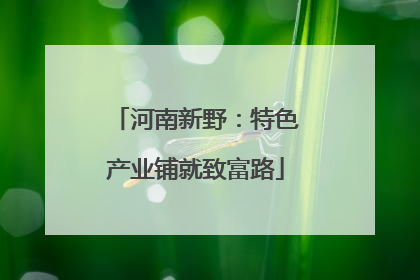 河南新野：特色产业铺就致富路