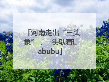 河南走出“三头象”，一头驮着Labubu