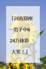 河南郑州一男子中624万体彩大奖！