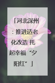 河北深州：推进适老化改造 托起幸福“夕阳红”