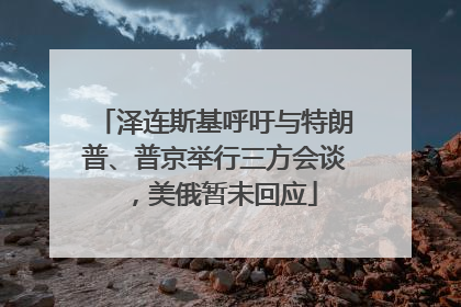 泽连斯基呼吁与特朗普、普京举行三方会谈，美俄暂未回应