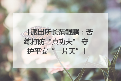 派出所长范鲲鹏：苦练打防“真功夫” 守护平安“一片天”