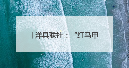 洋县联社：“红马甲”点亮银发餐厅 金融暖延伸惠民末梢