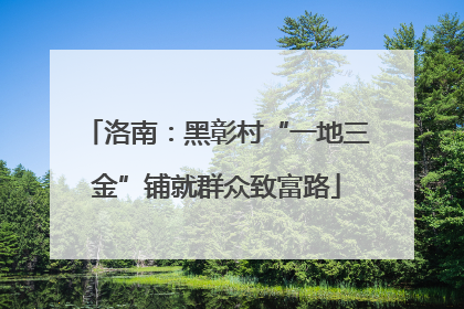 洛南：黑彰村“一地三金”铺就群众致富路