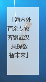 海内外百余专家齐聚武汉 共探数智未来