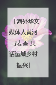 海外华文媒体人黄河寻麦香 共话运城乡村振兴