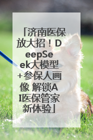 济南医保放大招！DeepSeek大模型+参保人画像 解锁AI医保管家新体验