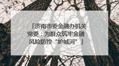 济南市委金融办机关党委：为群众筑牢金融风险防控“护城河”