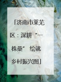济南市莱芜区：深耕“一株桑” 绘就乡村振兴图