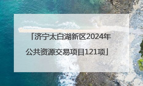 济宁太白湖新区2024年公共资源交易项目121项