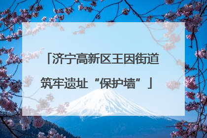 济宁高新区王因街道筑牢遗址“保护墙”