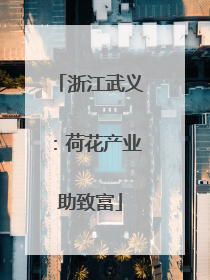 浙江武义：荷花产业助致富