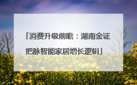 消费升级前瞻：湖南金证把脉智能家居增长逻辑