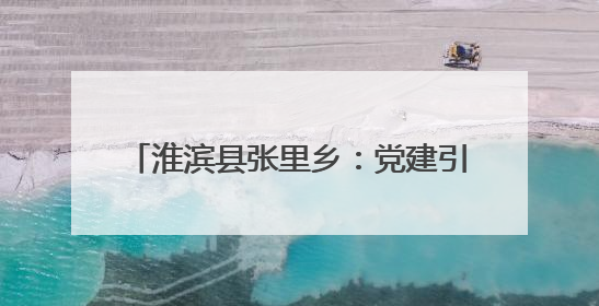 淮滨县张里乡：党建引领，惠民义诊暖人心