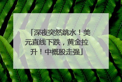 深夜突然跳水！美元直线下跌，黄金拉升！中概股走强
