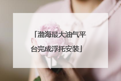 渤海最大油气平台完成浮托安装