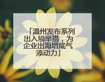 温州发布系列出入境举措，为企业出海增底气添动力