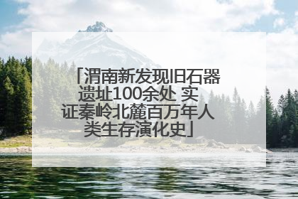 渭南新发现旧石器遗址100余处 实证秦岭北麓百万年人类生存演化史