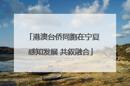 港澳台侨同胞在宁夏感知发展 共叙融合