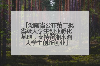 湖南省公布第二批省级大学生创业孵化基地，支持留湘来湘大学生创新创业