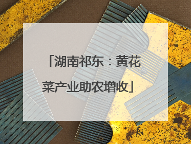湖南祁东：黄花菜产业助农增收