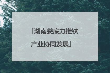 湖南娄底力推钛产业协同发展