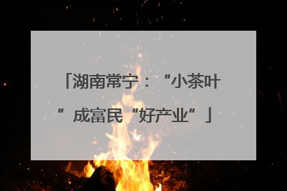 湖南常宁：“小茶叶”成富民“好产业”