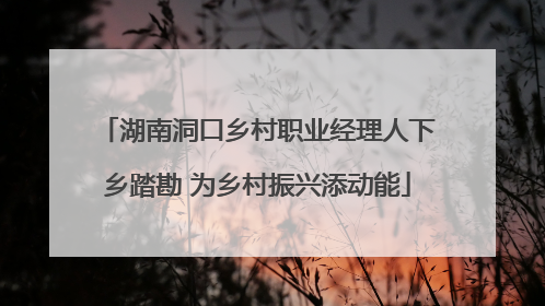 湖南洞口乡村职业经理人下乡踏勘 为乡村振兴添动能