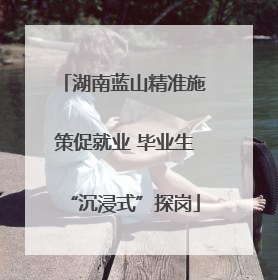 湖南蓝山精准施策促就业 毕业生“沉浸式”探岗