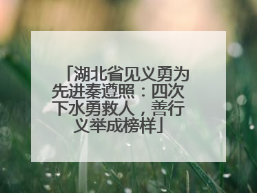 湖北省见义勇为先进秦遵照：四次下水勇救人，善行义举成榜样