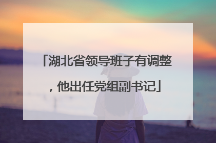 湖北省领导班子有调整，他出任党组副书记