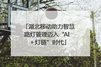 湖北移动助力智慧路灯管理迈入“AI＋灯链”时代