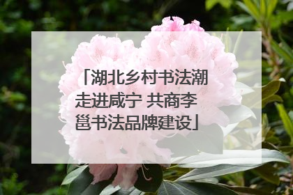 湖北乡村书法潮走进咸宁 共商李邕书法品牌建设