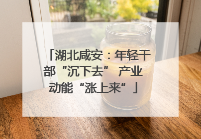 湖北咸安：年轻干部“沉下去” 产业动能“涨上来”