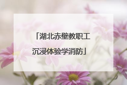 湖北赤壁教职工沉浸体验学消防