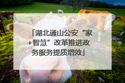 湖北通山公安“家+智慧”改革推进政务服务提质增效