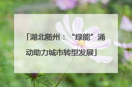 湖北随州：“绿能”涌动助力城市转型发展