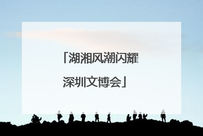 湖湘风潮闪耀深圳文博会