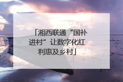 湘西联通“国补进村”让数字化红利惠及乡村